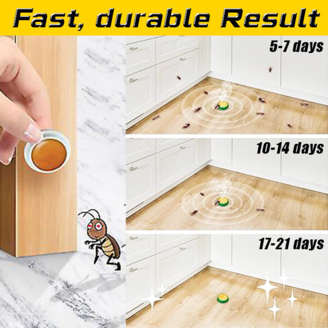 Nástrahová stanice pro šváby